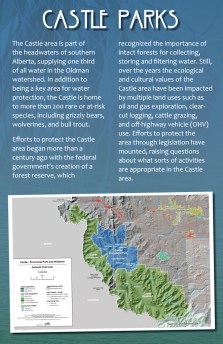 Issues 2 - Castle Parks 11x17